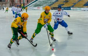 «Деды» забивали: завершился Кубок России по хоккею с мячом среди ветеранов спорта.